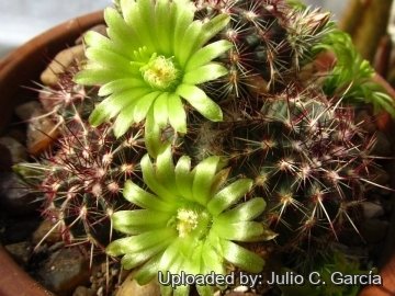22003 julio Julio C. García