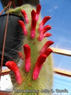 20176 julio Julio C. García 