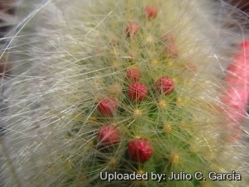 20177 julio Julio C. García 