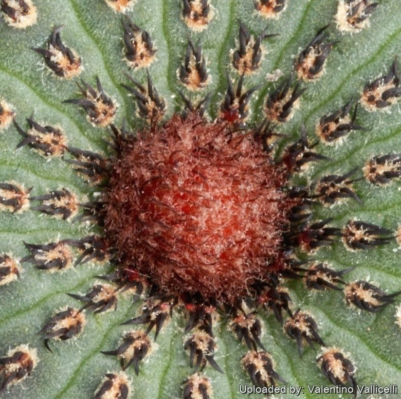 15708