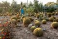 From panchkula cactus garden From panchkula cactus garden